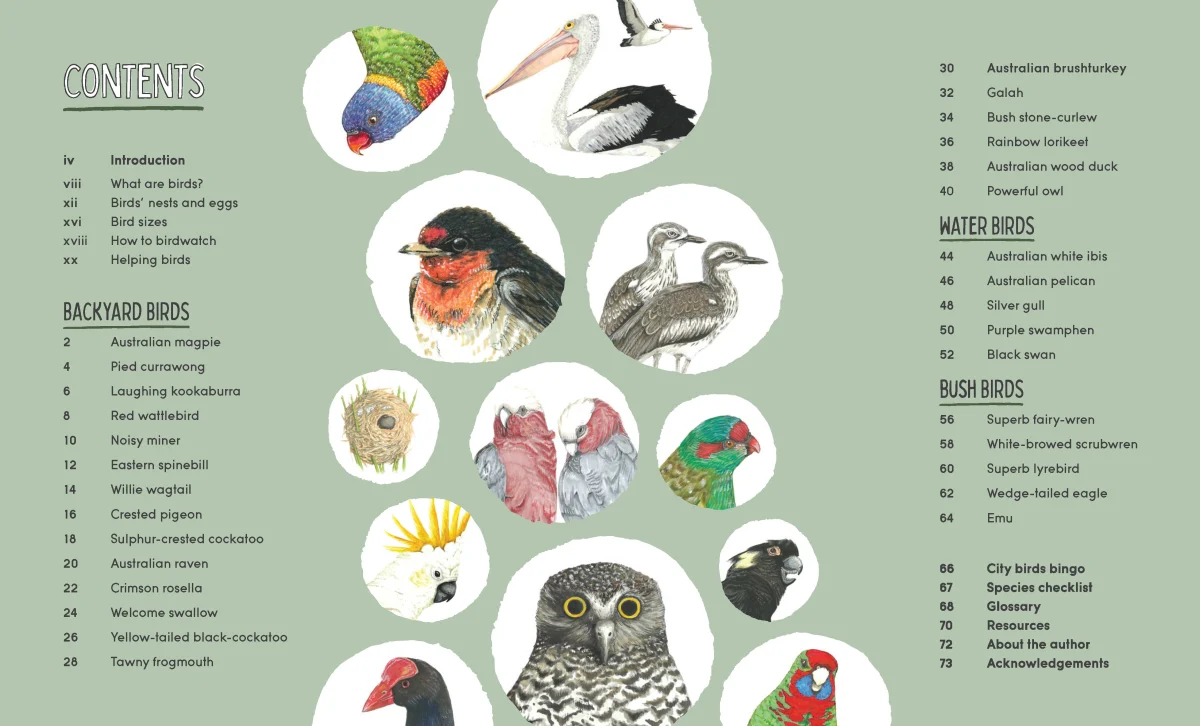 Hide & Beak - Image 2