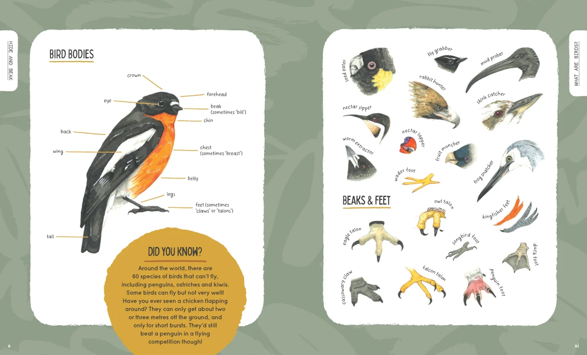 Hide & Beak - Image 5
