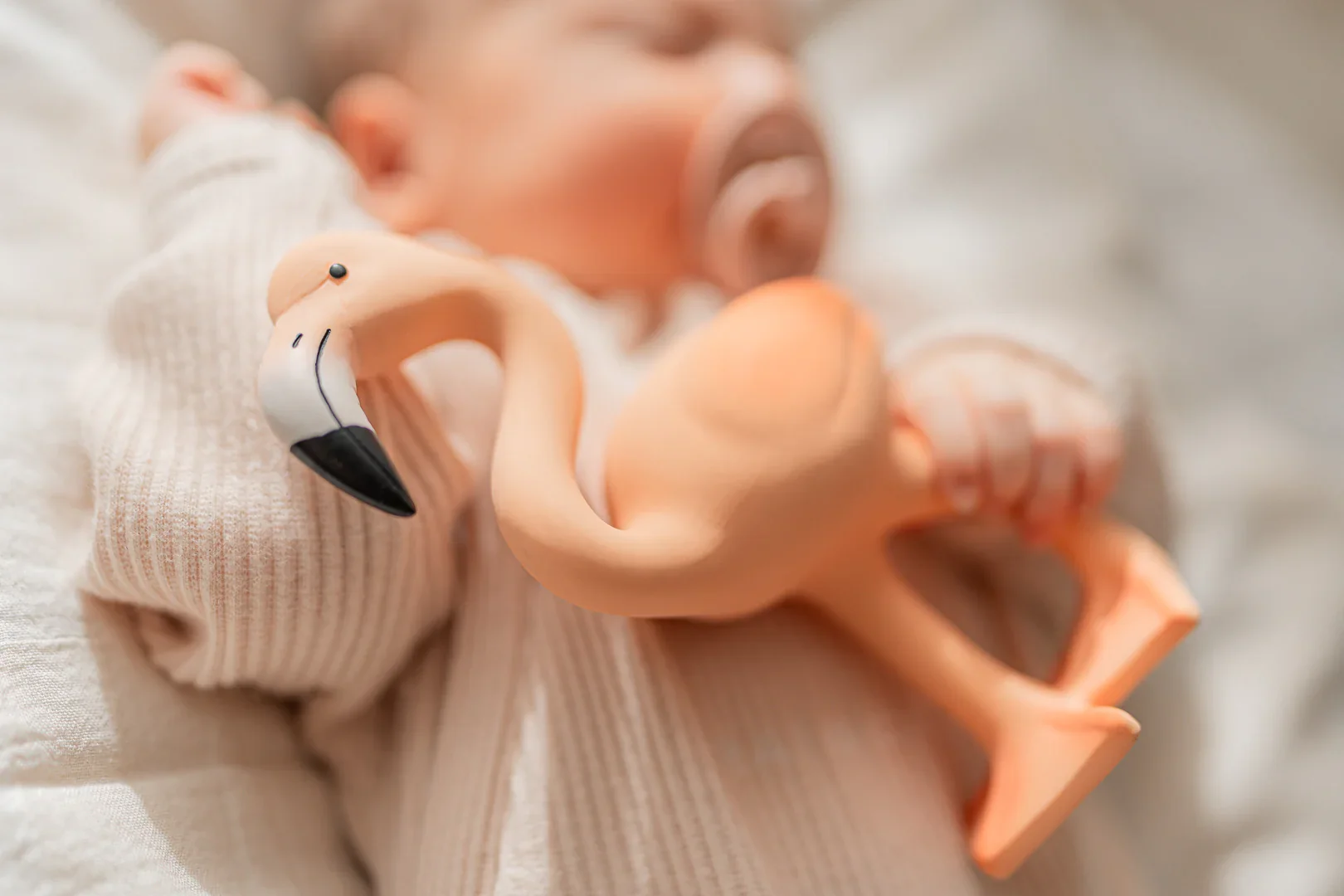 Lingo The Flamingo - Image 4