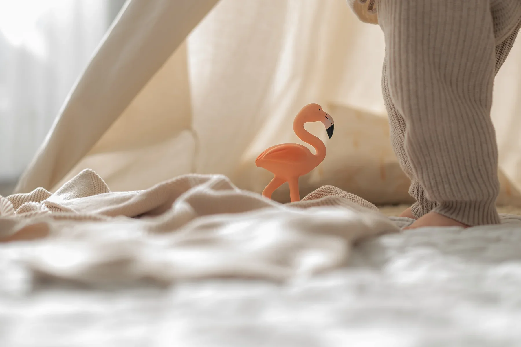 Lingo The Flamingo - Image 6